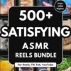 Satisfying Reels Bundle ASMR Faceless Videos (PLR)