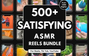 Satisfying Reels Bundle ASMR Faceless Videos (PLR)